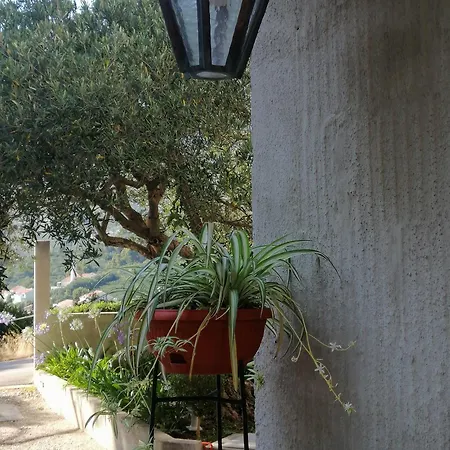 Apartamento Stella Maris